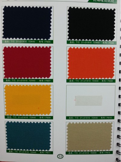 SD-DGYE   滌棉厚珠帆   T/C    21+21*10   72*40 後面照